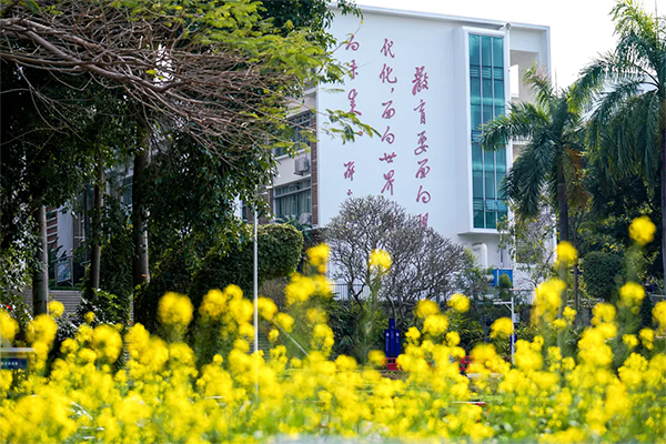 图片19.png