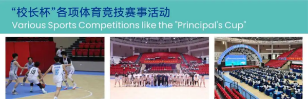 图片71_副本.png